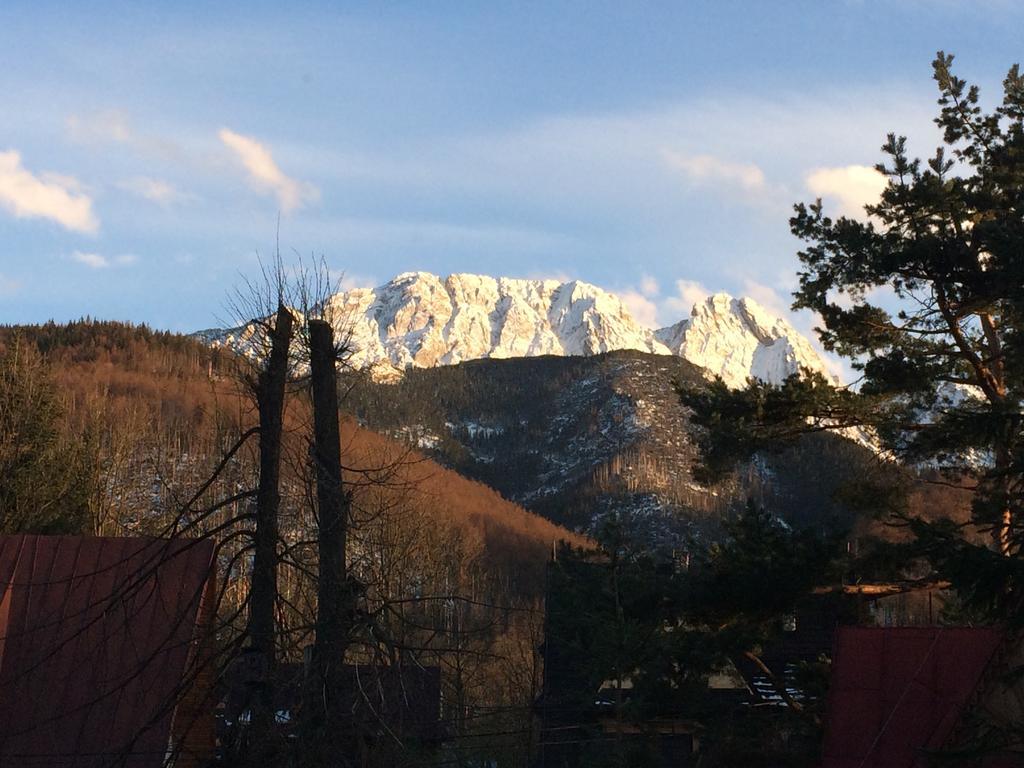 Frühstückspension Dom Wypoczynkowy Jadzia Zakopane